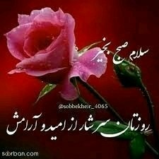 سلام خوبی صبح بخیر عزیزم خوبی صبح بخیر انشاالله 