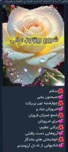سلام له همگی روزتان پر از برکت وشادی☺️🌷🌷