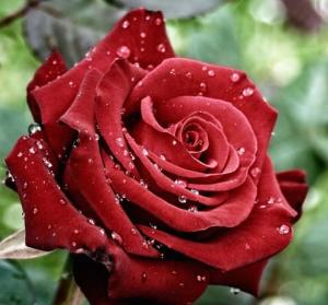 اگر قطره ای آب ......