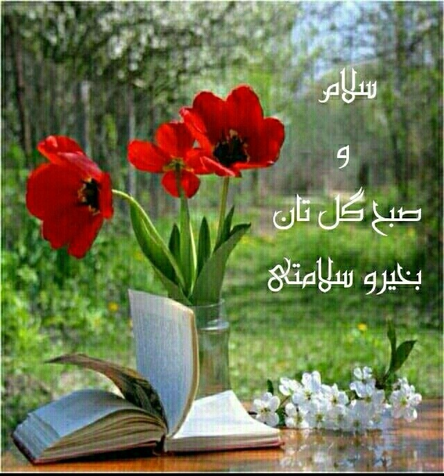 سلام خوبی صبح تا شاد باشی انشاالله همیشه سلامتی باشی انشاالل