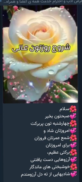سلام له همگی روزتان پر از برکت وشادی☺️🌷🌷