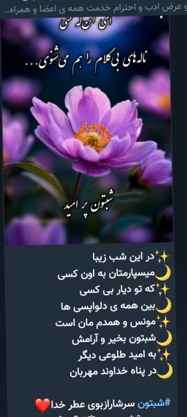 🌹🌹🌹