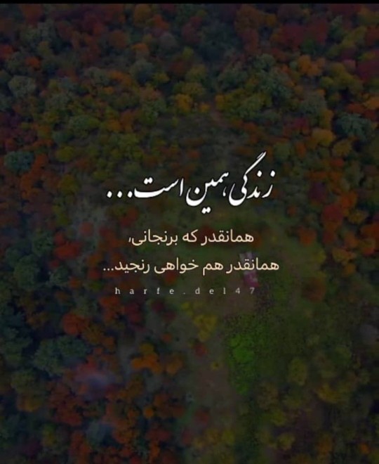 شبتون ناب دوستان گلم  