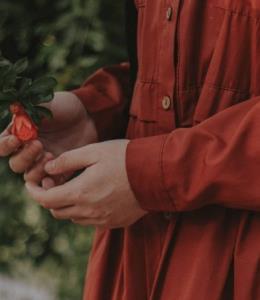 «امروز کار‌های زیادی دارم
باید حافظه‌ام را سلاخی کنم
....
