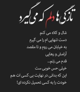 شبگرد تنها 