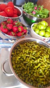 به وقت روزمرگی ....عصر بخیر ☘️☘️🌱🌱