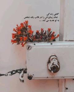 زندگیتان سرشار از شادی،عصرتان دلبرانه🌺🍩☕🍩🌺