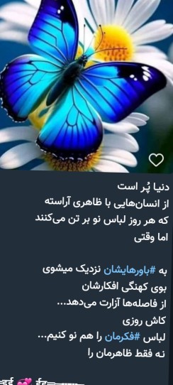 🌷🌷🌷