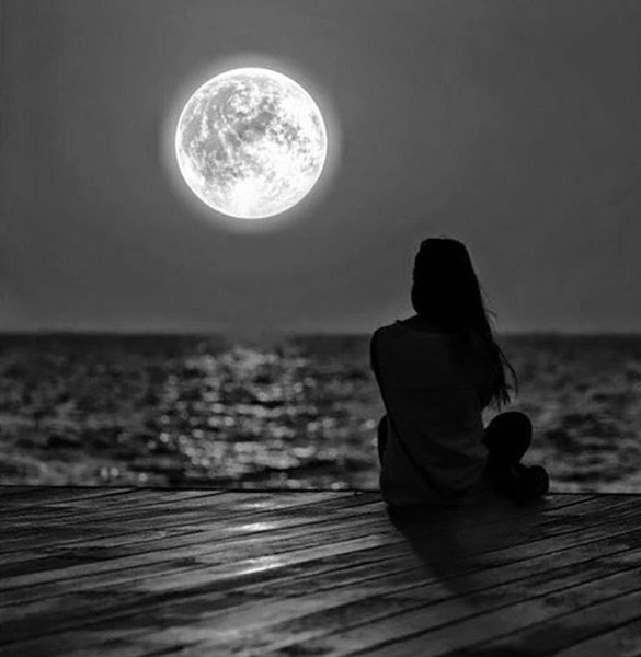 شب را نوشیده ام ...سهراب سپهری 💥💥💥