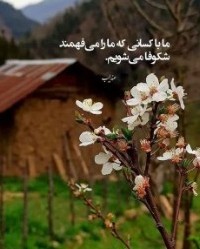 تقدیم‌به‌ناهید‌خانم‌