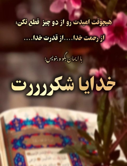 🍃🖇خدایاشکرت🌱
🙏🕊