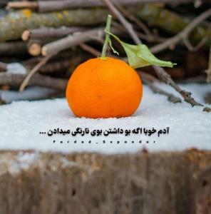 آدماخوبا عطرخداروی زمین ند💐🌹🌱🎶