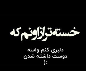 شبگرد تنها 