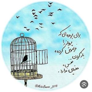 چه بی هوا هوای گریه دارم.....