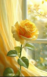 روزتون بهترین🌻🌹
