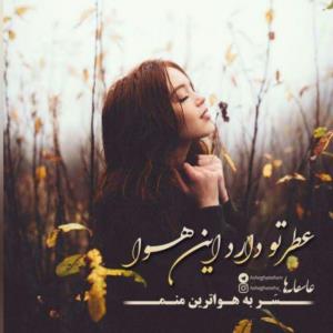 عطر تو دارد این هوا 