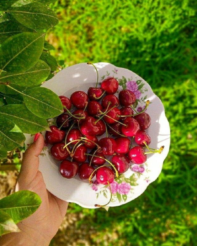 تقدیم پچه عکس برای عکاسخانه می‌شود نوش جان انشاالله همیشه 