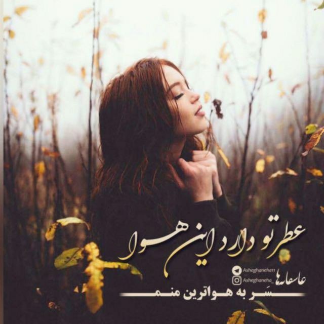 عطر تو دارد این هوا 