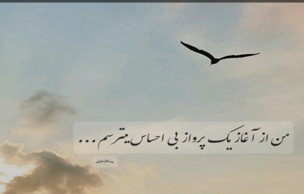 جمعه را غزلی چای و کتاب شعری میشود بود اگر تنگی دل بگذارد..