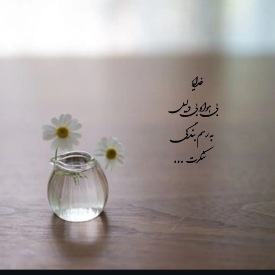 خدایا شکرت 🫶🏻🌸