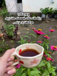 سلام گلا ادینتون ب مهر🐥🍒