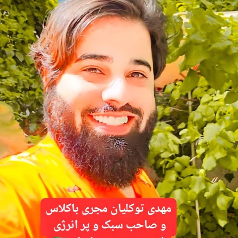 مهدی توکلیان هنرمند 