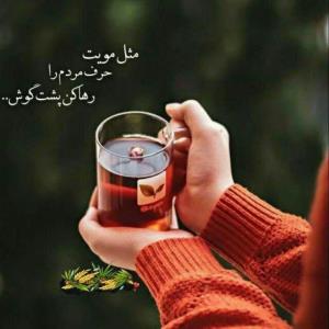 سلام 