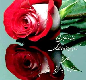 تبدیل به آدمهای شدیم که
