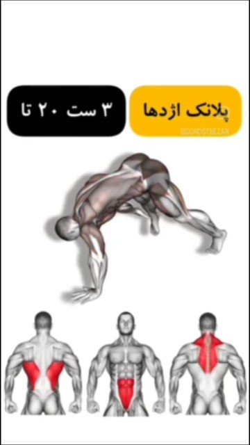 پلانک اژدها