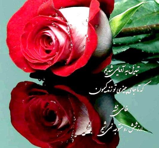 تبدیل به آدمهای شدیم که