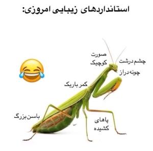 استاندارد زیبایی 😂😂✌️✌️