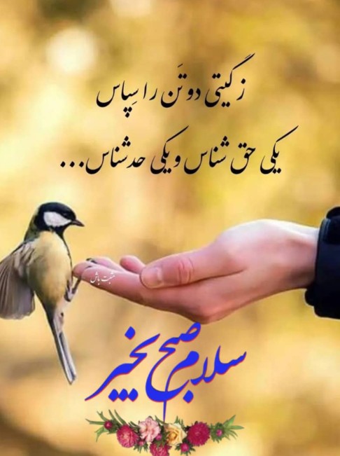 صبحتون بخیر