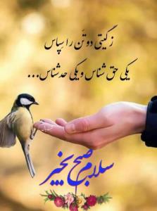 صبحتون بخیر