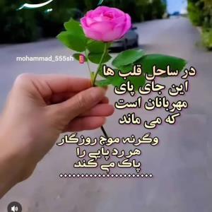 ساحل 