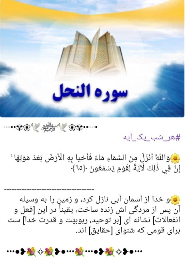 هر شب یک آیه 🌺🌺🌺