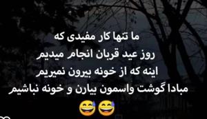 😂😂