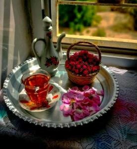چایی عصر بخیر عزیزم نوجان خوش بگذره انشاالله 