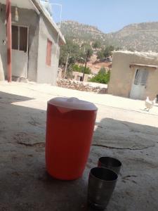 بفرمایید آب چشمه خنک و یخ تو لیوان استیل