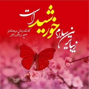 صبح زیباتون دلنشین🌻🌻🌻