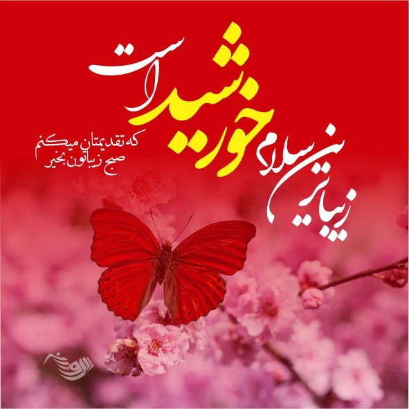 صبح زیباتون دلنشین🌻🌻🌻