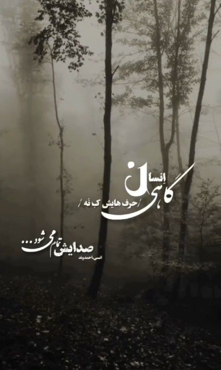 BUSHEHR 