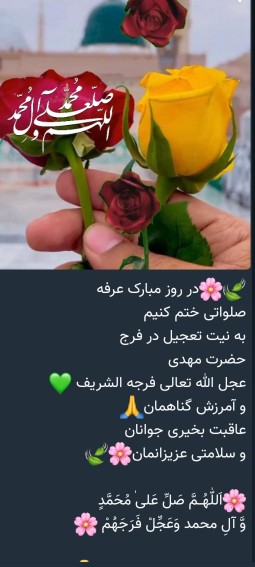 🌹🌹🌹