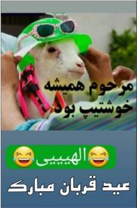 سلام رفقا عیدتون مبارک🐥🍒