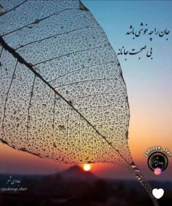 نفرین اگر تو را به تمام جهان دهم 