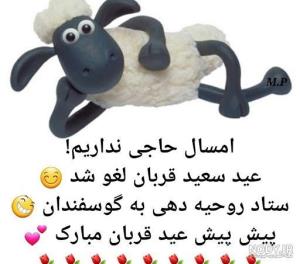 حاجی بشید انشاالله 