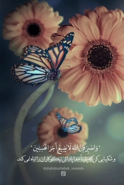 خدامیگه: عزیزمن.. خیلی‌خب
میدونم‌سخت‌ها‌امونتو‌بریده