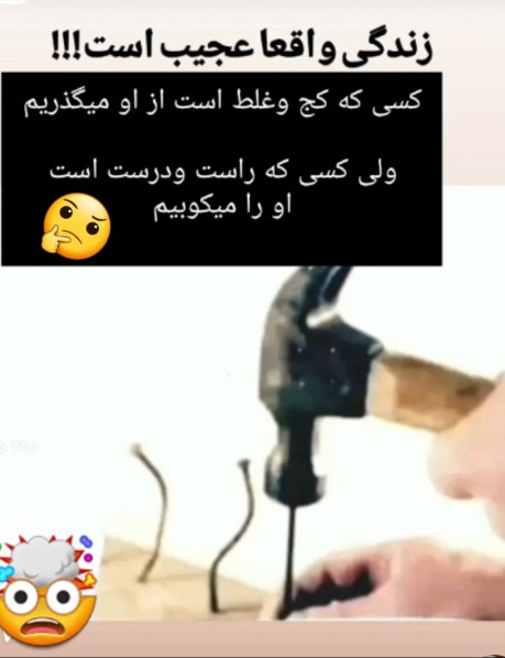 زندگی