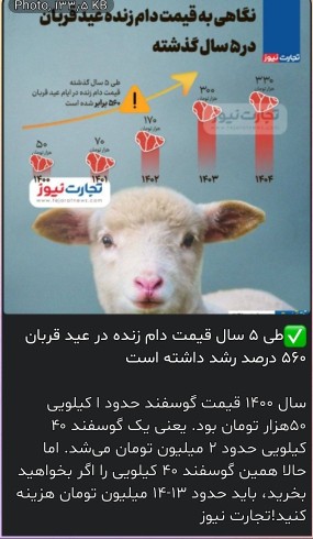 فقط تو پنج سال