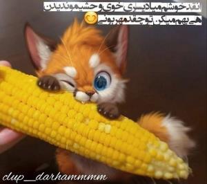 🙃🥱🥱😅😅🤞