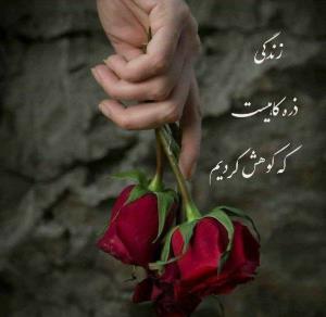زندگی ذره کاهیست که کوهش کردیم 